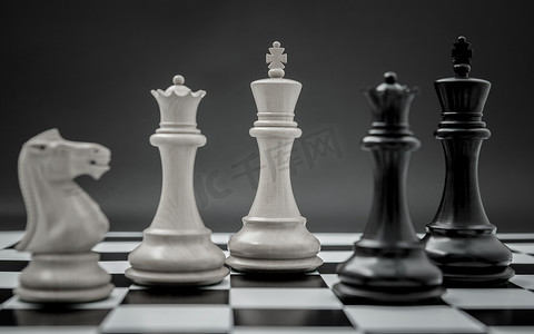 黑色和白色的国王和国际象棋骑士在黑暗的背景上设置