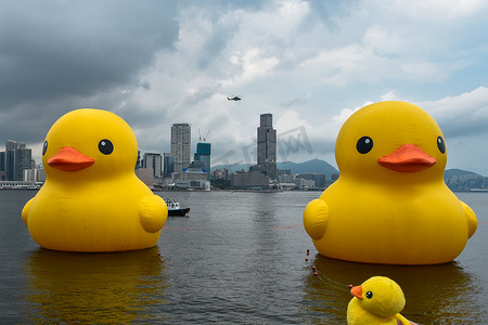 大鸭鸭摄影照片_香港维多利亚港橡皮鸭二重畅