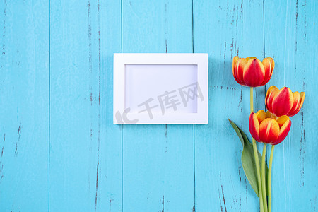 郁金香花束、相框、母亲节概念 — 美丽的红色、黄色花束、白色空白图片模板隔离在蓝色木质背景、顶视图、平躺