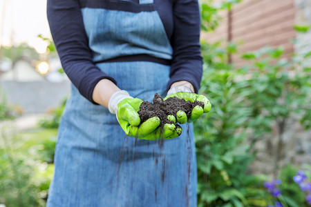 土壤肥沃摄影照片_戴黑色肥沃土壤园艺手套的妇女手特写