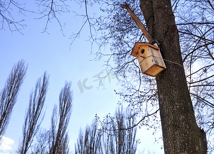 一个新的巢箱高高地挂在春天公园的橡树上