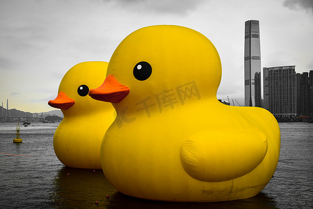 大黄鸭摄影照片_香港维多利亚港橡皮鸭二重畅
