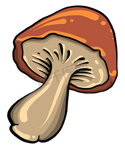 生蚝图标摄影照片_棕色蘑菇，插图，白色背景上的矢量