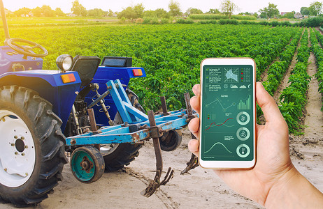 智能拖拉机摄影照片_一只手拿着一部智能手机，上面有拖拉机和保加利亚胡椒种植园背景的信息图表。