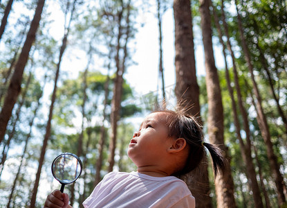 拿放大镜小女孩摄影照片_亚洲小女孩手拿着放大镜抬头看松树