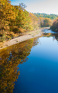 背景汇聚摄影照片_周日河汇聚金色秋色树叶的反射