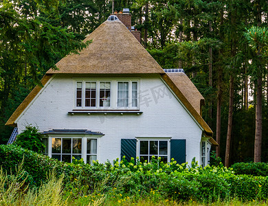 古典房屋摄影照片_森林中典型的荷兰房屋，有古典的茅草屋顶，荷兰的乡村住宅，古典建筑