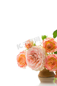 麻布背景摄影照片_一束美丽的玫瑰被白色隔离