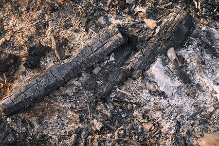 木材燃烧后留下的木炭和灰烬