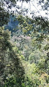 住宅风景摄影照片_山