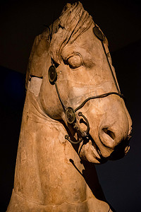 大英博物馆的马头雕像