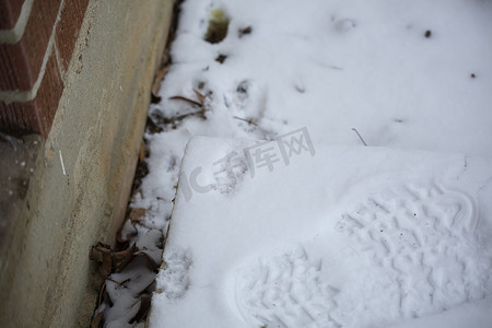 雪地里的猫和靴子印