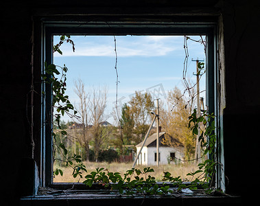 从一栋有树木和蓝天的乡村房屋的窗户可以看到