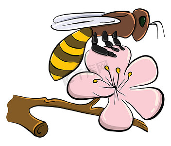 蜜蜂在花上，插图，白色背景上的矢量