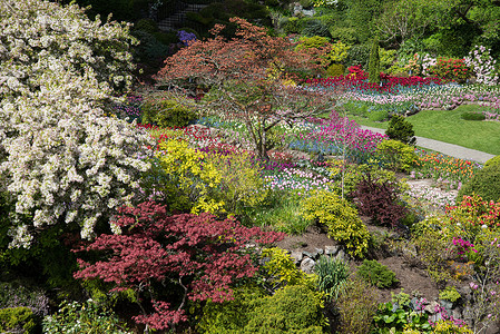 布查特花园 温哥华岛 梦幻般的春天