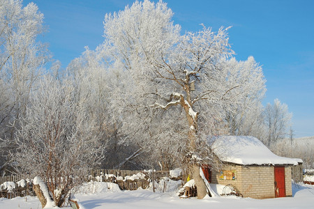 冬季乡村景观