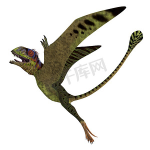 Peteinosaurus 爬行动物崛起