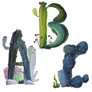 仙人掌形状的字母 A、B 和 C。