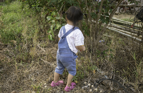 杂乱背景摄影照片_亚洲小女孩在草丛杂乱的花园里散步。