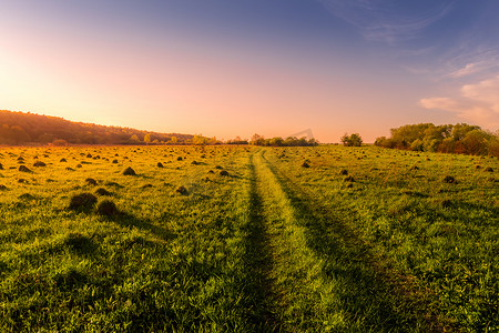 绿草如茵的春天田野中的日落或黎明。