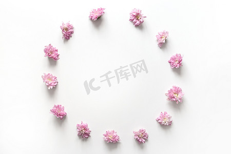 圆形框架与孤立在白色背景上的粉红色花蕾。