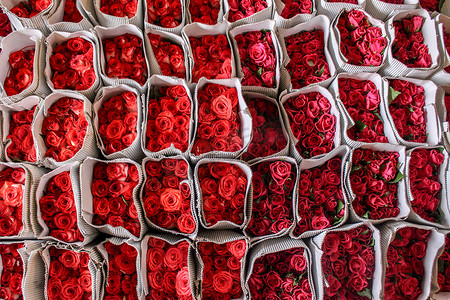 一束束红玫瑰，堆成一堆。
