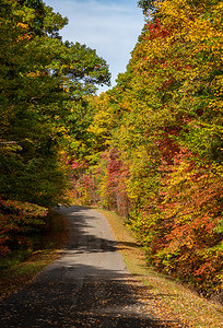 西弗吉尼亚州库珀斯岩州立公园的道路上有秋色