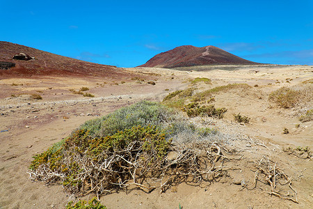 沙漠植被摄影照片_西班牙特内里费岛埃尔梅达诺沙漠植被的蒙大拿罗哈火山景观