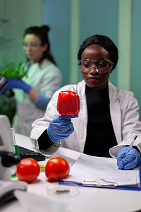 非裔美国化学家研究员医生分析注射农药的胡椒