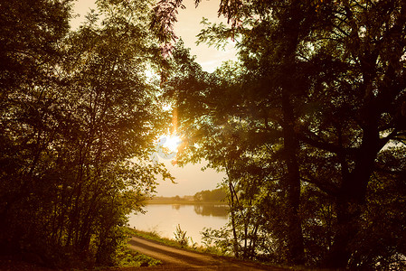 秋天有森林湖的风景有阳光的