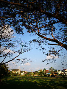 与家和绿色庭院的美好的夏天风景。