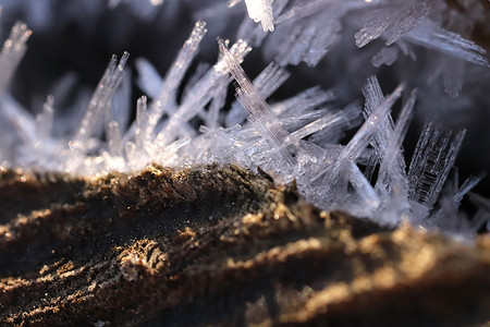 霜木与冷淡的晶体宏观特写背景