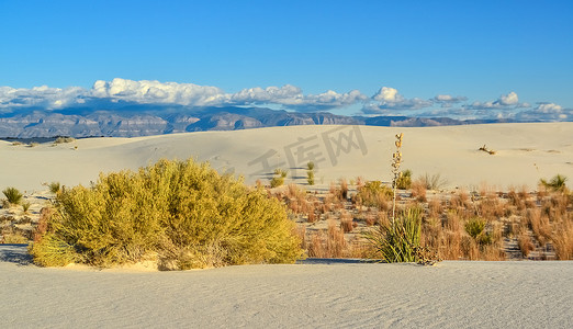 新墨西哥州摄影照片_新墨西哥州白沙石膏沙丘的沙漠景观