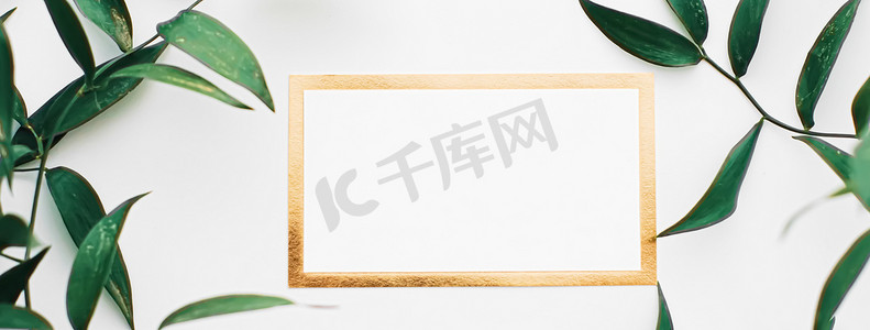 空白的白色和金色卡片、白色背景上的绿叶作为植物框架平铺、婚礼邀请函和品牌、平铺设计