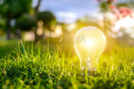 发光在绿草、可再生能源和自然保护概念的电灯泡