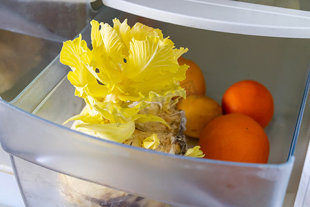 冰箱里的水果摄影照片_冰箱里的柠檬、橙子和卷心菜变质了