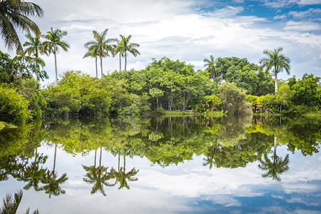 仙童热带植物园，迈阿密，佛罗里达州，美国