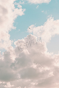 彩超摄影照片_超白云，海鸥自由飞翔，自由概念
