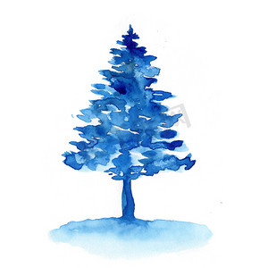 水彩冬季蓝色圣诞云杉树隔离在白色背景。