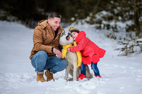 冬天遛狗摄影照片_快乐的父亲、小女儿和哈士奇狗在冬季森林里散步。