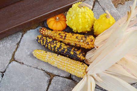 门口台阶上的三根观赏玉米和葫芦