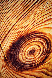 木材切割上的抽象圆线