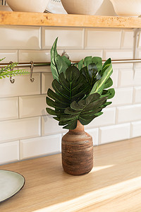 斯堪的纳维亚厨房风格背景花瓶上的人造龟背竹叶