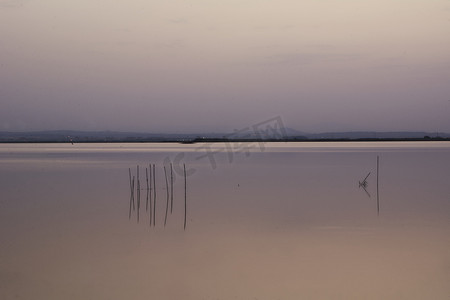 大湖夕阳，从芦苇丛中，