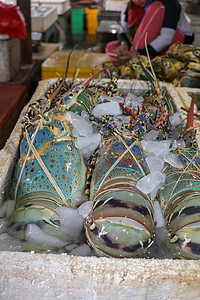 在印度尼西亚巴厘岛金巴兰的 Pasar Ikan Kedonganan 出售的新鲜海鲜。 