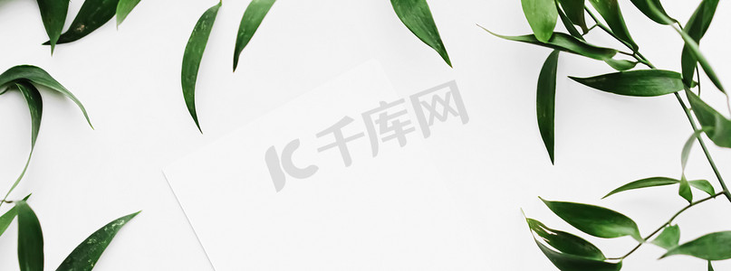 空白白卡、白色背景绿叶作为植物框架平铺、婚礼邀请函和假日品牌、平铺设计