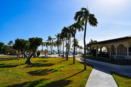 浪漫的 Bucuti & Tara 度假村位于阿鲁巴岛东侧的鹰海滩，棕榈树、白色沙滩伞、几朵云和美丽的白色沙滩令人叹为观止