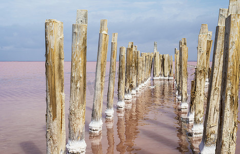 俄罗斯克里米亚共和国萨西克粉色盐湖上的木杆。 