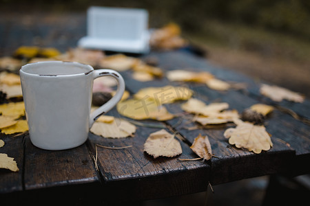 秋天公园的一张旧木桌上放着一杯茶和咖啡、散落的黄叶和松果。