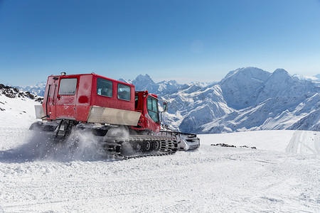 雪地猫在高山的斜坡上